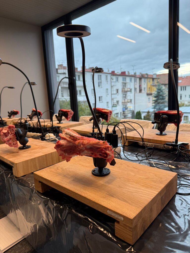 Plastická mukogingivální chirurgie